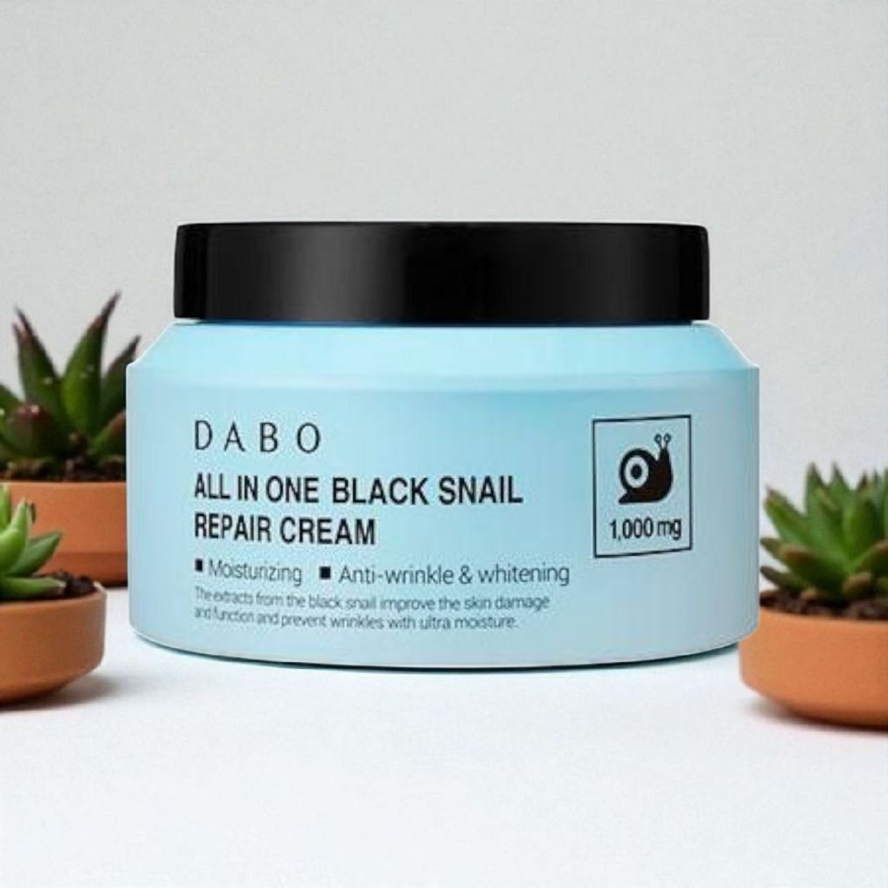 photo_2025-10-20_22-41-22